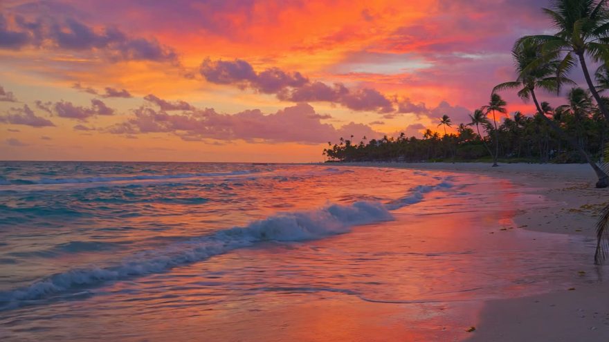 Still from the “Sun and Rhythm” music video — Miami beach at sunset